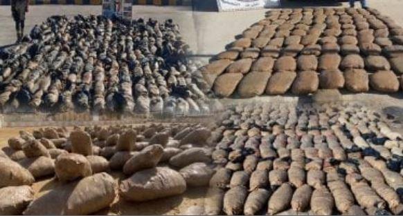 أجهزة الأمن بالإسكندرية تضبط طنًا من الحشيش في منطقة الرمل