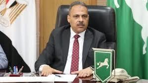   محافظ الشرقية: انتخابات المرحلة الثانية سارت كما خُطط لها