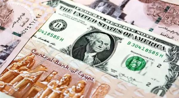 الدولار يواصل ثباته أمام الجنيه اليوم