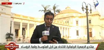   منتدى الاتحاد من أجل المتوسط يشيد بموقف مصر في قمة شرم الشيخ .. فيديو
