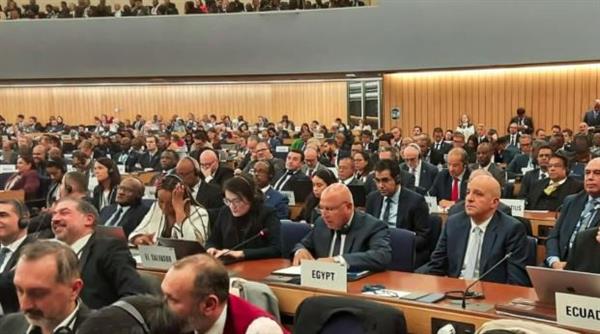 فوز مصر بمقعد في الجمعية العامة للمنظمة البحرية الدولية IMO