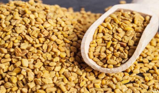 الحلبة.. كنز علاجي لمريض الأمراض المزمنة: كيف تعمل؟ وما سر قوتها؟