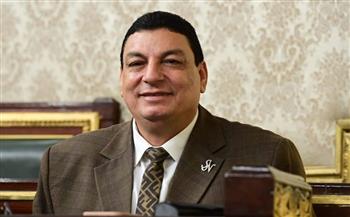   سامي نصر الله: مصر تقود جهود وقف إطلاق النار في غزة وتضمن تدفق المساعدات الإنسانية