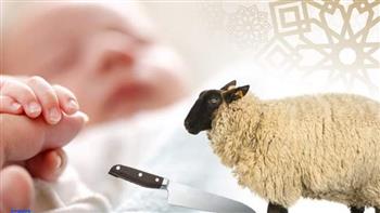   هل يجوز جمع أكثر من عقيقة في واحدة؟
