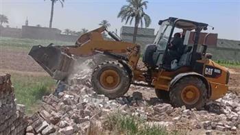بني سويف: إزالة 840 حالة تعد على أراض زراعية وأملاك دولة