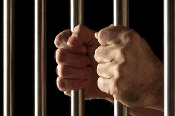 العدالة تنتصر.. حبس قاتل كلاب حدائق الأهرام