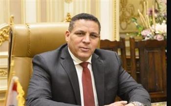 أحمد محسن: انتخابات مجلس النواب المقبلة ستعكس وعي المصريين