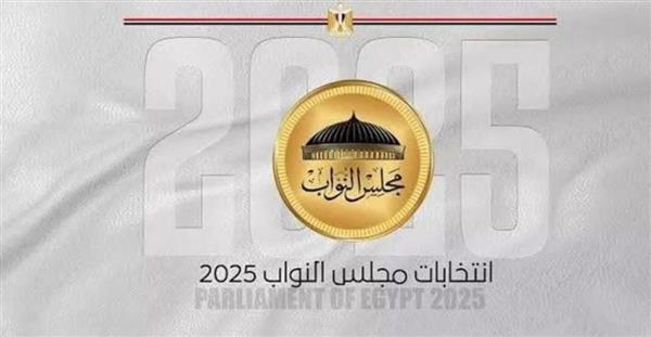 بدء التصويت للمصريين المقيمين بـ 21 دولة في انتخابات مجلس النواب