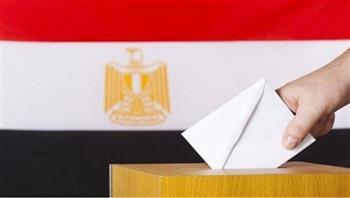 انتظام تصويت المصريين بالخارج في أولى مراحل انتخابات النواب