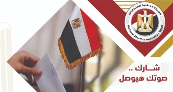غلق باب التصويت بسفارتي مصر في الأرجنتين والبرازيل بانتخابات "النواب"