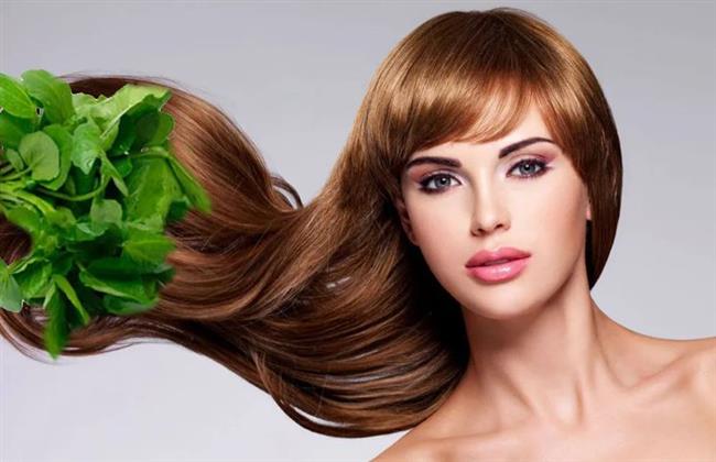 فوائد زيت الجرجير للشعر: حلّ طبيعي لتعزيز الكثافة واستعادة اللمعان
