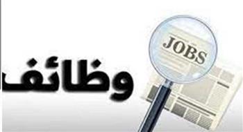   وزارة العمل: 40 فرصة عمل جديدة بشركة النيل للتركو بمحافظة الجيزة