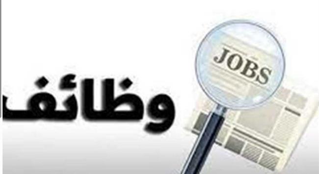 وزارة العمل: 40 فرصة عمل جديدة بشركة النيل للتركو بمحافظة الجيزة