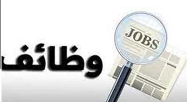 وزارة العمل: 40 فرصة عمل جديدة بشركة النيل للتركو بمحافظة الجيزة