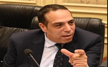   الصافي عبد العال يحث المواطنين على استكمال مشاركتهم في إعادة التصويت بالدوائر الملغاة