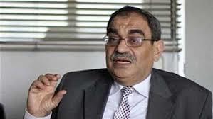   رئيس الطاقة الجديدة السابق: مصر أسست إطارا تشريعيا لدعم الطاقة المتجددة 2013