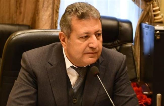 شكري يدعو المواطنين للمشاركة في إعادة انتخابات مجلس النواب