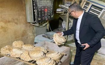 محافظ الدقهلية : ضبط أكثر من 2 طن شاورما ولحوم فاسدة بالمطاعم ومحال الجزارة