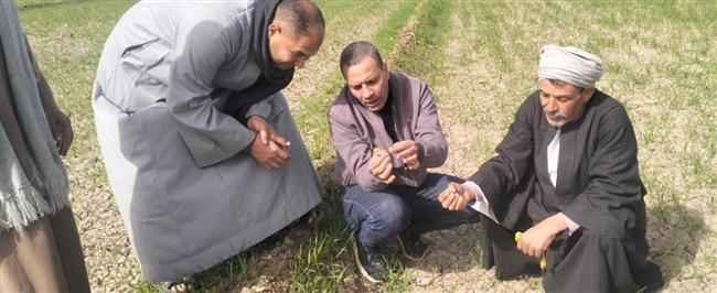 جامعة سوهاج تطلق قافلة تنموية لدعم وارشاد المزارعين بقرية الصلعا
