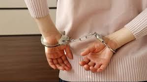   ضبط سيدة أدارت كيانًا تعليميًا وهميًا للنصب على راغبي التمريض بسوهاج