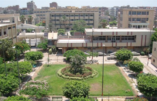 ندوة بجامعة الزقازيق تناقش العنف الإلكتروني ضد المرأة