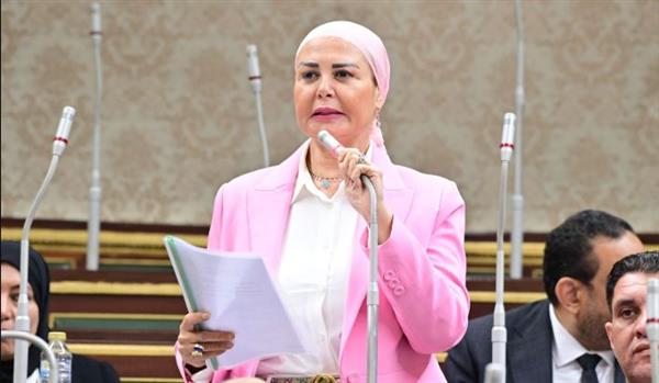 أمل سلامة: استمرار ظاهرة العنف الأسري يستدعي تدخلاً عاجلًا وتشريعًا رادعًا