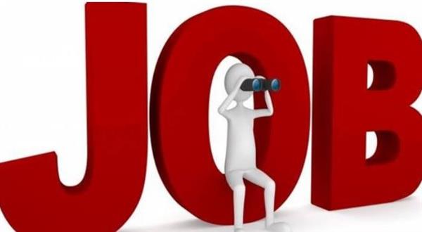 وظائف للشباب في المنوفية برواتب تبدأ من 6000 جنيه