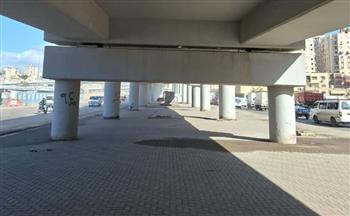   الحكومة توضح حقيقة فيديو وجود عيوب هندسية بكوبرى 45 الدولى بالإسكندرية