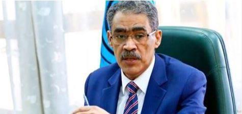ضياء رشوان: الإعلام في مصر والصين يساهم في تعزيز العلاقات الثنائية