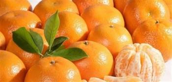   اليوسفي.. فاكهة شتوية صغيرة بفوائد صحية كبيرة