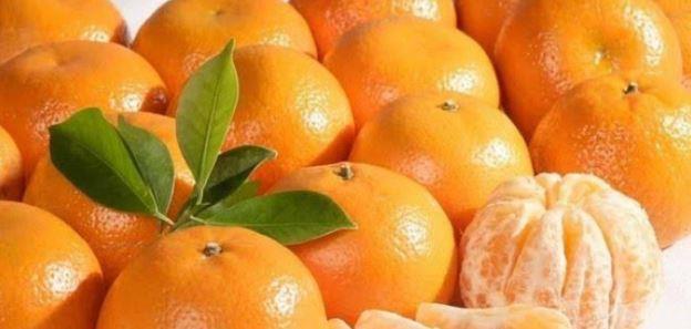اليوسفي.. فاكهة شتوية صغيرة بفوائد صحية كبيرة