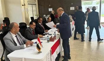   رغم الطقس البارد.. إقبال ملحوظ للمصريين في واشنطن خلال اليوم الثاني للتصويت بالخارج