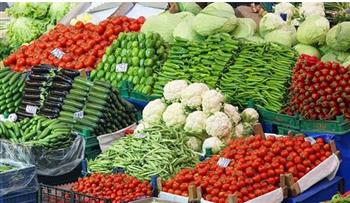   استقرار أسعار الخضروات مع توافر المعروض بالأسواق