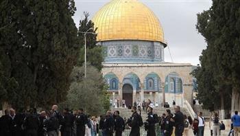   قاضي قضاة فلسطين يدين اقتحام شرطة الاحتلال للمسجد الأقصى