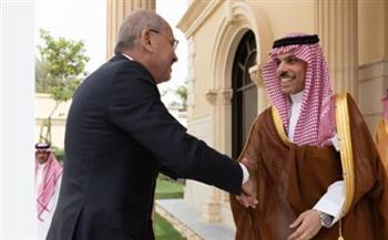   وزير الخارجية الأردني ونظيره السعودي يبحثان تطورات الأوضاع الإقليمية