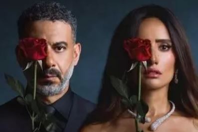 حصاد مسلسلات 2025 على المنصات.. بين الدراما والكوميديا والفانتازيا والرومانسية