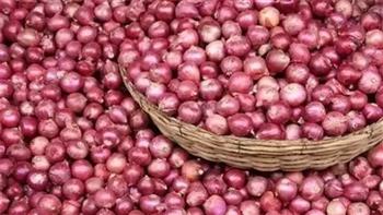   البصل المصري يغزو الأسواق العالمية بزيادة نحو 9.3%