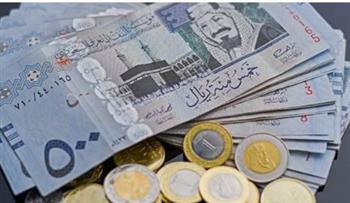   الريال السعودي يشهد تذبذبا أمام الجنيه