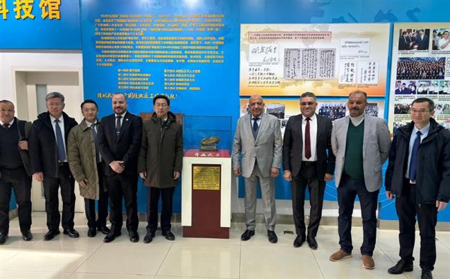 وزير الكهرباء يبحث تعزيز التعاون مع الصين في مجالات الطاقة النظيفة