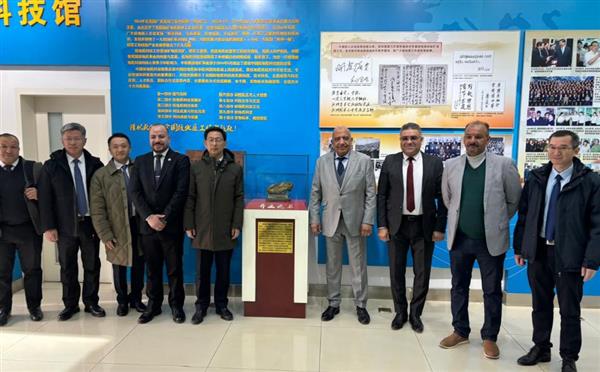 وزير الكهرباء يبحث تعزيز التعاون مع الصين في مجالات الطاقة النظيفة
