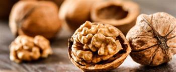   عين الجمل.. غذاء صحي أساسي لنمو الأطفال