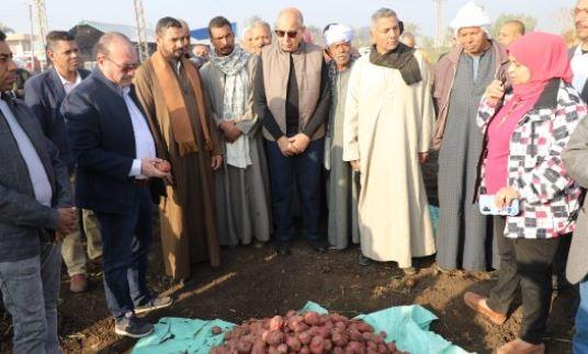 محافظ المنيا يفتتح موسم حصاد البطاطس