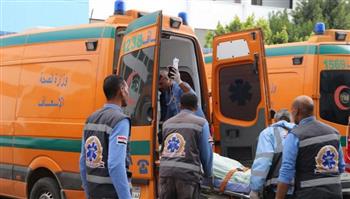   حادث مروع بالجيزة.. 3 قتلى و5 مصابين
