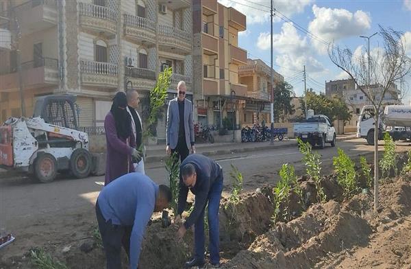 ضمن المبادرة الرئاسية «100 مليون شجرة».. محافظ كفرالشيخ: زراعة الأشجار بسيدي غازي