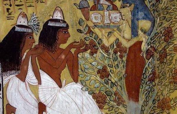 خبير آثار: شجرة " الكريسماس " أصلها مصري قديم