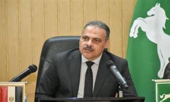 محافظ الشرقية يُهنئ الرئيس السيسي بالعام الميلادي الجديد