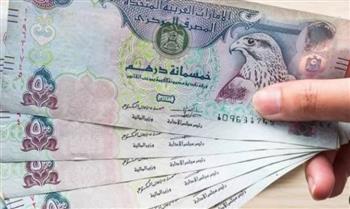   استقرار سعر الدرهم الإماراتي أمام الجنيه اليوم