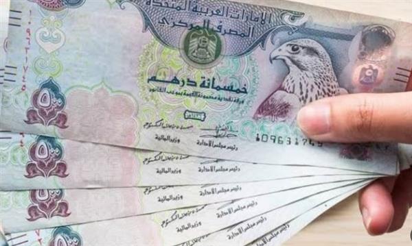استقرار سعر الدرهم الإماراتي أمام الجنيه اليوم