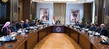   رئيس الوزراء يتابع أنشطة ومشروعات الهيئة العربية للتصنيع