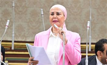   أمل سلامة: نطالب بحصر شامل لعدد المصحات في مصر ومراجعة أوضاعها